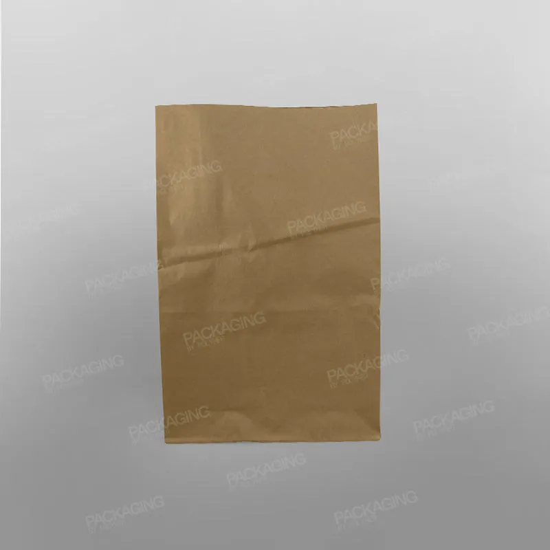 Brown Paper Grab Bag/ Take Away Bag, No Handles