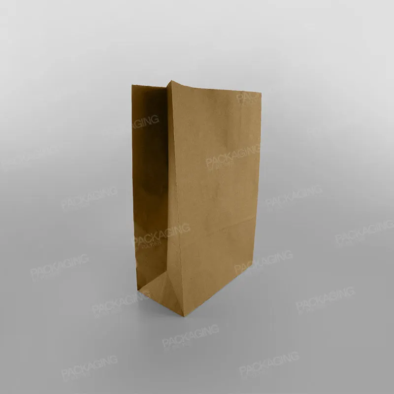 Brown Paper Grab Bag/ Take Away Bag, No Handles