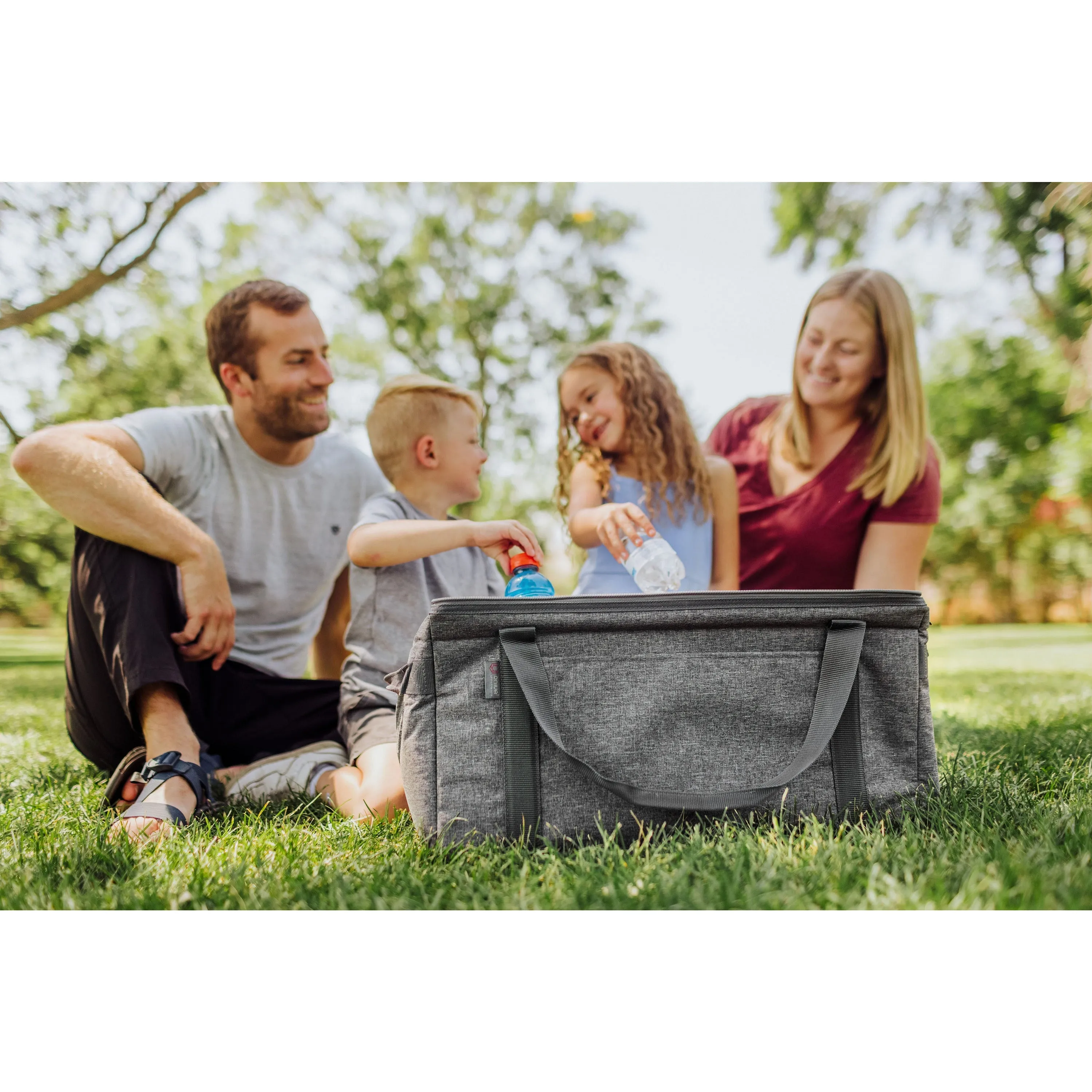 Collapsible Can Cooler