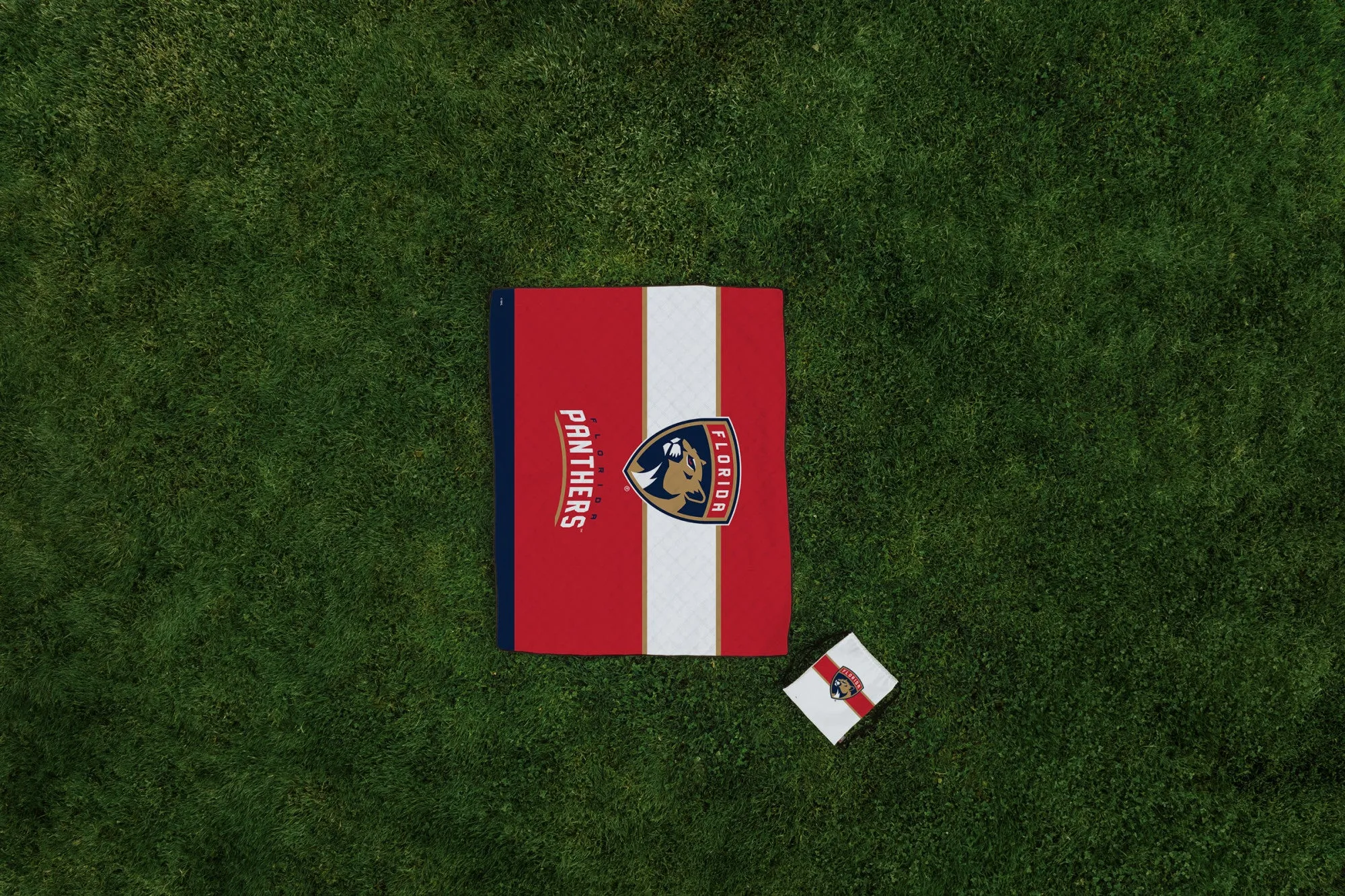 Florida Panthers - Impresa Picnic Blanket