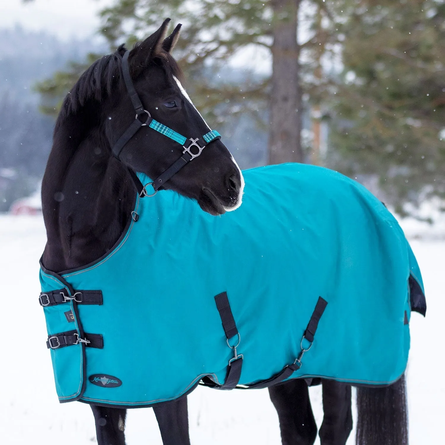 Kensington Bundle - 1200D Horse Mid Weight Turnout & Blanket Bag