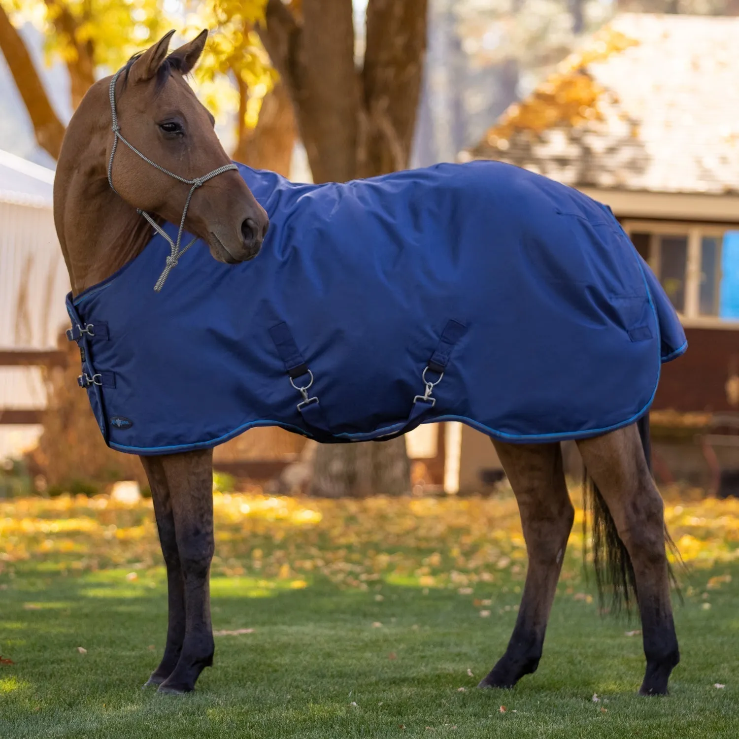 Kensington Bundle - 1200D Horse Mid Weight Turnout & Blanket Bag