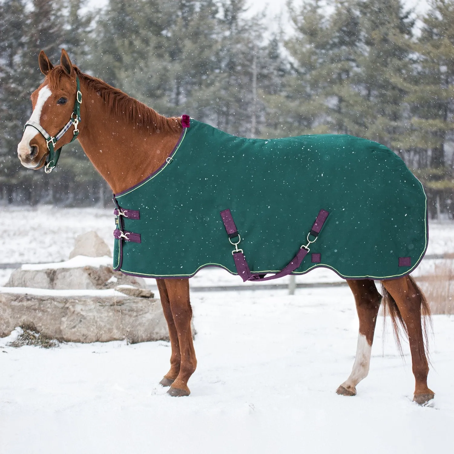 Kensington Bundle - 1200D Horse Mid Weight Turnout & Blanket Bag