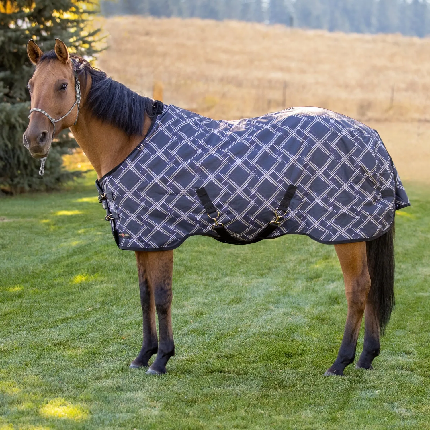 Kensington Bundle - 1200D Horse Mid Weight Turnout & Blanket Bag