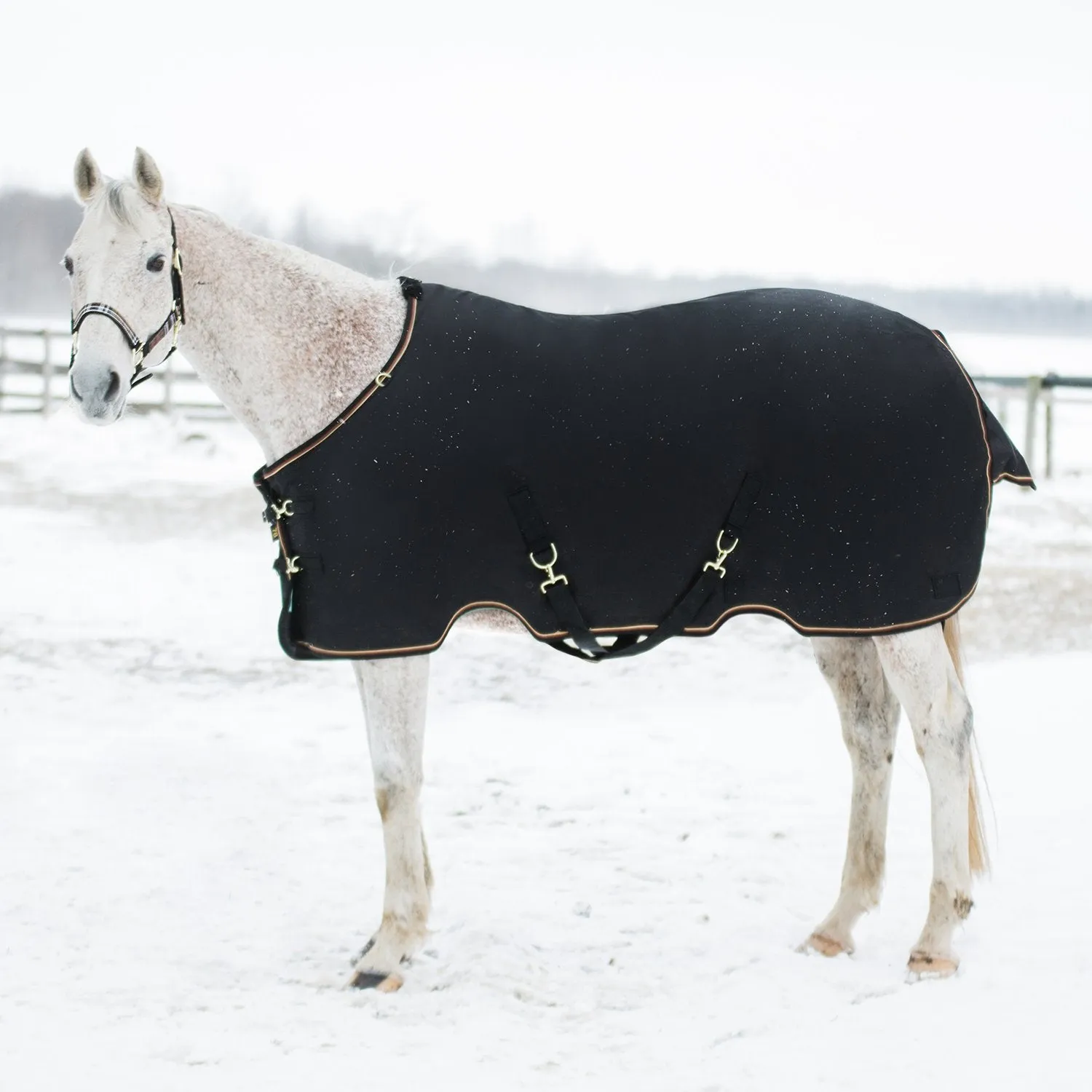 Kensington Bundle - 1200D Horse Mid Weight Turnout & Blanket Bag