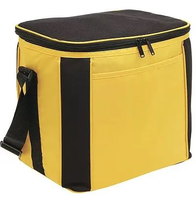 Large Cooler Bag