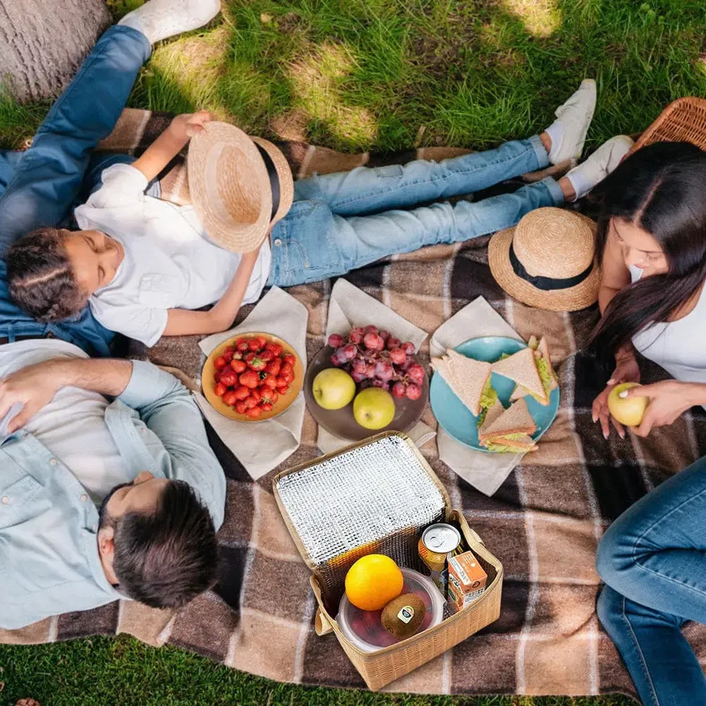 Portable Wicker Picnic Bag