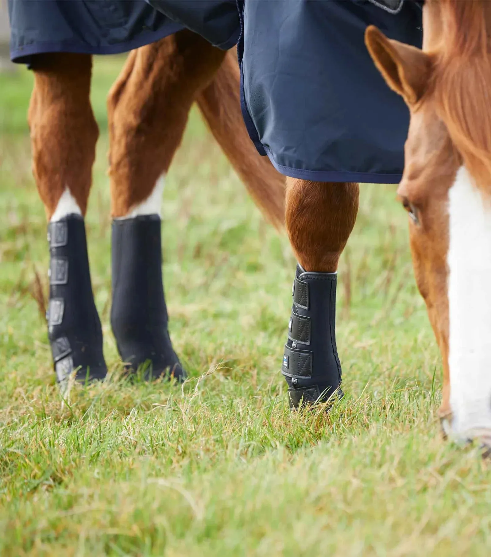 Premier Equine Mud Fever Turnout Boots