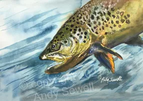 "Brown Trout Sparkle" - original watercolor or print, Brown Trout wall art