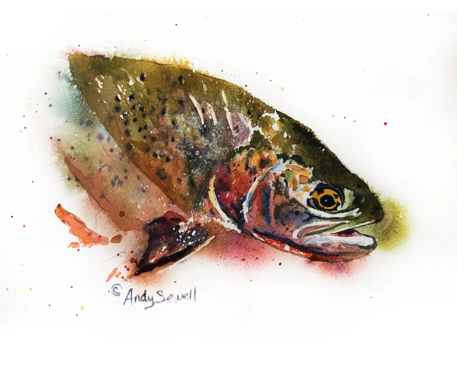 "Cutthroat Splashes" - signed giclee print, Cutthroat Trout wall art