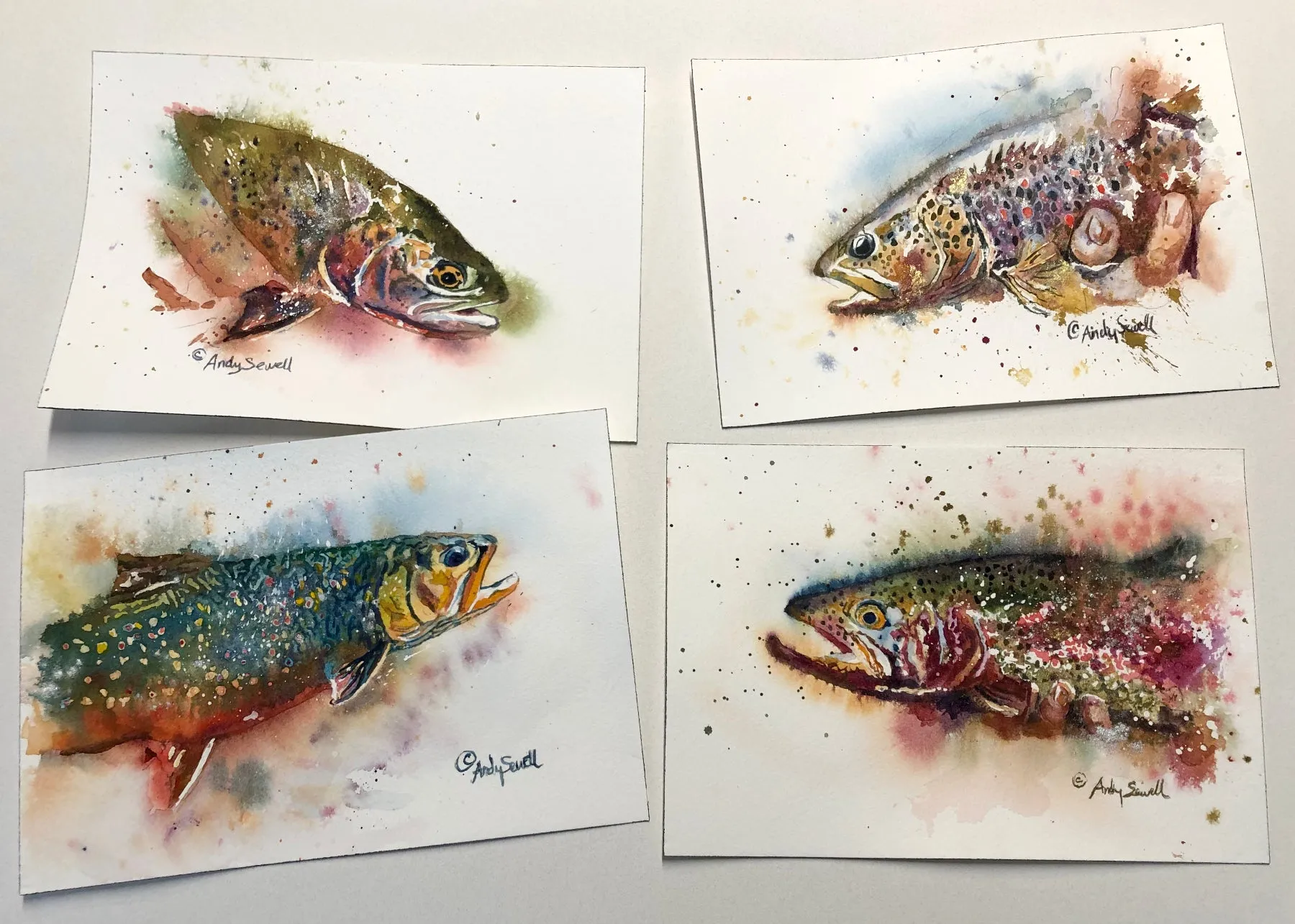 "Cutthroat Splashes" - signed giclee print, Cutthroat Trout wall art