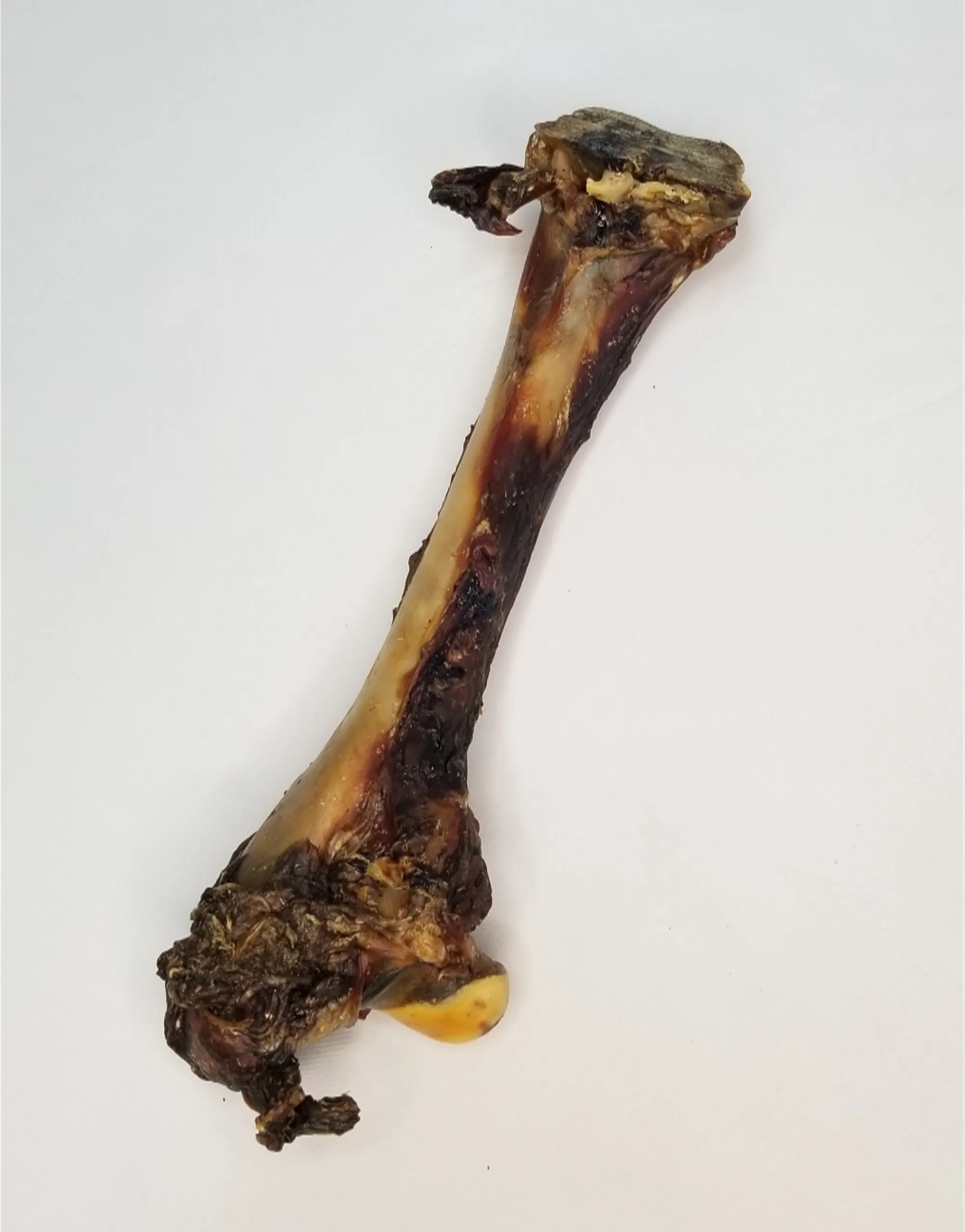 Roo Leg Bone - Dog Treats