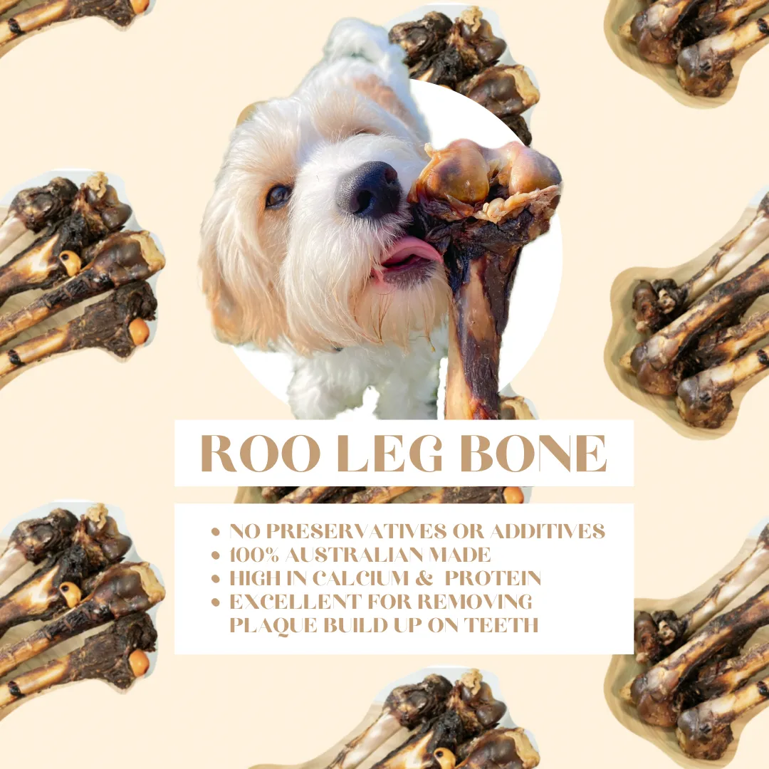 Roo Leg Bone - Dog Treats